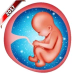 pregnancy baby weekly tracker android application logo